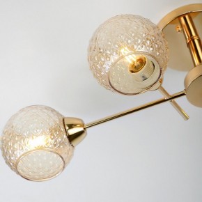 Потолочная люстра Rivoli Amalia Б0050815 в Качканаре - kachkanar.mebel24.online | фото 8