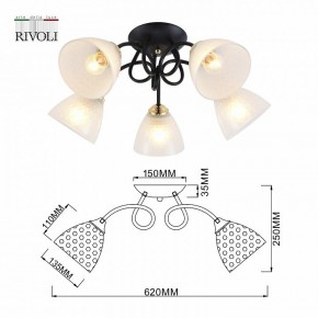 Потолочная люстра Rivoli Luiza Б0054904 в Качканаре - kachkanar.mebel24.online | фото 6