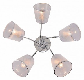 Потолочная люстра Rivoli Shirley Б0059982 в Качканаре - kachkanar.mebel24.online | фото 3