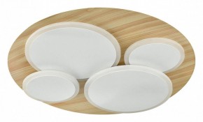 Потолочная люстра Sonex Pine 7734/60L в Качканаре - kachkanar.mebel24.online | фото