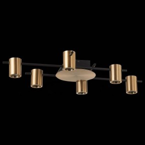 Потолочная люстра ST-Luce Veroli SL1207.402.06 в Качканаре - kachkanar.mebel24.online | фото 2