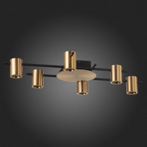 Потолочная люстра ST-Luce Veroli SL1207.402.06 в Качканаре - kachkanar.mebel24.online | фото 4