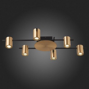 Потолочная люстра ST-Luce Veroli SL1207.402.06 в Качканаре - kachkanar.mebel24.online | фото 6