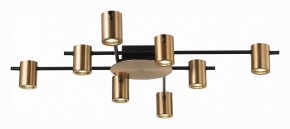 Потолочная люстра ST-Luce Veroli SL1207.402.08 в Качканаре - kachkanar.mebel24.online | фото 2