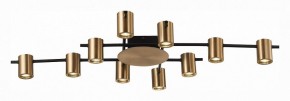 Потолочная люстра ST-Luce Veroli SL1207.402.10 в Качканаре - kachkanar.mebel24.online | фото 2