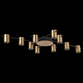 Потолочная люстра ST-Luce Veroli SL1207.402.10 в Качканаре - kachkanar.mebel24.online | фото 3