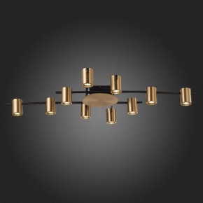 Потолочная люстра ST-Luce Veroli SL1207.402.10 в Качканаре - kachkanar.mebel24.online | фото 6