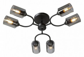 Потолочная люстра Vitaluce V2823 V2823-1/6PL в Качканаре - kachkanar.mebel24.online | фото 2
