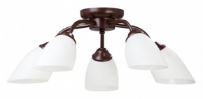 Потолочная люстра Vitaluce V3184 V3252/5PL в Качканаре - kachkanar.mebel24.online | фото