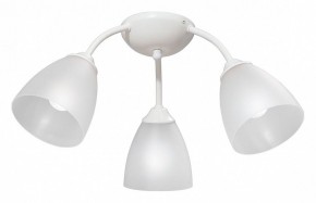 Потолочная люстра Vitaluce V3737 V3737-0/3PL в Качканаре - kachkanar.mebel24.online | фото