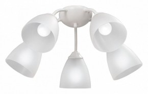 Потолочная люстра Vitaluce V3737 V3737-0/5PL в Качканаре - kachkanar.mebel24.online | фото