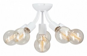 Потолочная люстра Vitaluce V3927 V3927-0/6PL в Качканаре - kachkanar.mebel24.online | фото