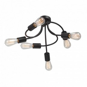 Потолочная люстра Vitaluce V3928 V3928-1/6PL в Качканаре - kachkanar.mebel24.online | фото 3
