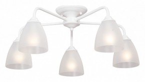 Потолочная люстра Vitaluce  V3946-0/5PL в Качканаре - kachkanar.mebel24.online | фото