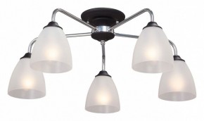 Потолочная люстра Vitaluce  V3946-1/5PL в Качканаре - kachkanar.mebel24.online | фото