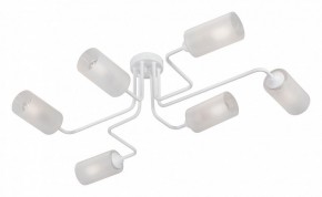Потолочная люстра Vitaluce V4310 V4310-0/6PL в Качканаре - kachkanar.mebel24.online | фото
