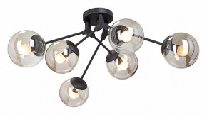 Потолочная люстра Vitaluce  V4323-1/6PL в Качканаре - kachkanar.mebel24.online | фото