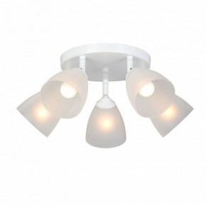 Потолочная люстра Vitaluce V4355 V4355-0/5PL в Качканаре - kachkanar.mebel24.online | фото 2