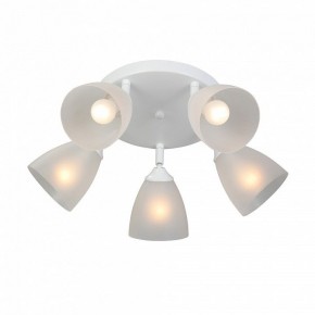 Потолочная люстра Vitaluce V4355 V4355-0/5PL в Качканаре - kachkanar.mebel24.online | фото 3