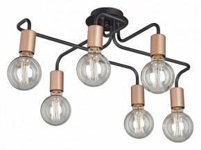 Потолочная люстра Vitaluce V4560 V4560-1/6PL в Качканаре - kachkanar.mebel24.online | фото