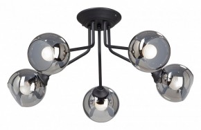 Потолочная люстра Vitaluce  V4724-1/5PL в Качканаре - kachkanar.mebel24.online | фото