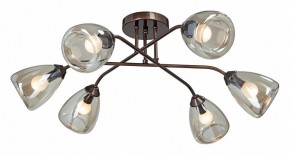 Потолочная люстра Vitaluce  V4954-7/6PL в Качканаре - kachkanar.mebel24.online | фото