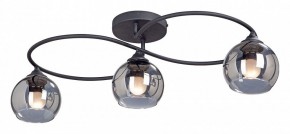 Потолочная люстра Vitaluce  V4965-1/3PL в Качканаре - kachkanar.mebel24.online | фото
