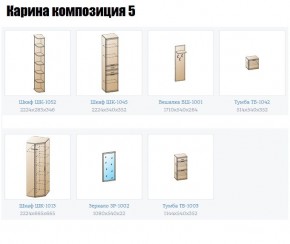 Прихожая Карина (модульная) в Качканаре - kachkanar.mebel24.online | фото 2