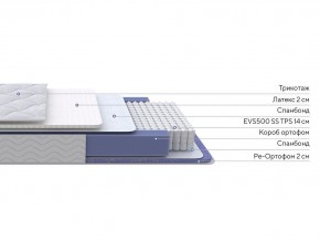 PROxSON Матрас Active Duo S/F (Ткань Трикотаж Эко) 160x195 в Качканаре - kachkanar.mebel24.online | фото 1