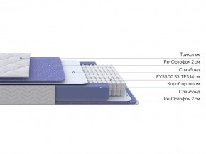 PROxSON Матрас Active F (Ткань Трикотаж Эко) 120x200 в Качканаре - kachkanar.mebel24.online | фото 2