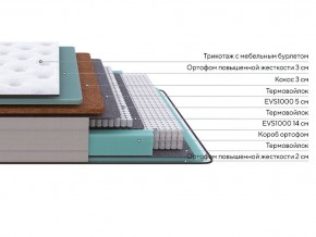 PROxSON Матрас Elysium Firm (Трикотаж Spiral-RT) 120x200 в Качканаре - kachkanar.mebel24.online | фото 2