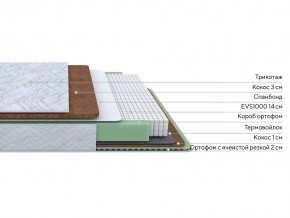 PROxSON Матрас Green Duo M/F (Tricotage Dream) 80x200 в Качканаре - kachkanar.mebel24.online | фото 1