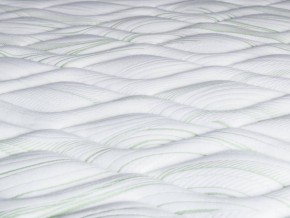 PROxSON Матрас Green F (Tricotage Dream) 80x200 в Качканаре - kachkanar.mebel24.online | фото 8