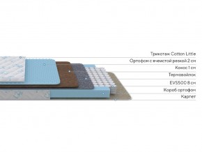 PROxSON Матрас Совенок (Print) 60x200 в Качканаре - kachkanar.mebel24.online | фото 2
