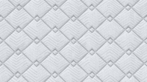 PROxSON Матрас Standart Plus M (Ткань Жаккард) 80x190 в Качканаре - kachkanar.mebel24.online | фото 9