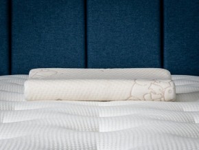 PROxSON Подушка Кроха (Ткань Трикотаж) 39x24 в Качканаре - kachkanar.mebel24.online | фото 6