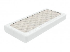 PROxSON Защитный чехол Aqua Save Light S (Ткань влагостойкая Tencel Jersey) 120x190 в Качканаре - kachkanar.mebel24.online | фото 1