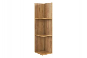 РИЧ Полка навесная 2 в Качканаре - kachkanar.mebel24.online | фото 4