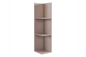РИЧ Полка навесная 2 (кашемир) в Качканаре - kachkanar.mebel24.online | фото 4