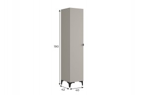 РИЧ Шкаф однодверный в Качканаре - kachkanar.mebel24.online | фото 2