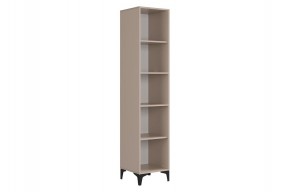 РИЧ Шкаф однодверный в Качканаре - kachkanar.mebel24.online | фото 4