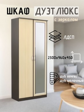 Шкаф 2-х створчатый Дуэт Люкс с зеркалом в Качканаре - kachkanar.mebel24.online | фото