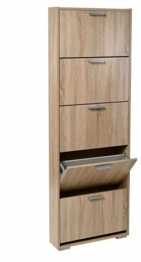 Шкаф для обуви УК-5 в Качканаре - kachkanar.mebel24.online | фото