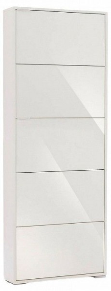 Шкаф для обуви Viva-5S в Качканаре - kachkanar.mebel24.online | фото