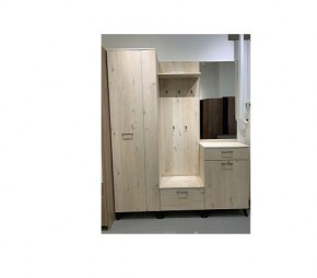 Шкаф для одежды 2-х дверный София 1 в Качканаре - kachkanar.mebel24.online | фото 6