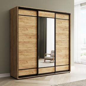 Шкаф-купе Акцент-Лайт ДЗ 1500-600 в Качканаре - kachkanar.mebel24.online | фото 4
