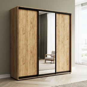 Шкаф-купе Акцент-Сим ДЗ 2400-600 в Качканаре - kachkanar.mebel24.online | фото 4