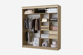 Шкаф-купе Фаворит 2.0 серия Альянс (дуб сонома) в Качканаре - kachkanar.mebel24.online | фото 2