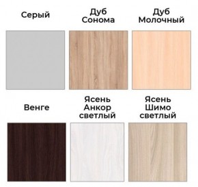 Шкаф-купе ХИТ 22-18-888 (620) в Качканаре - kachkanar.mebel24.online | фото 3