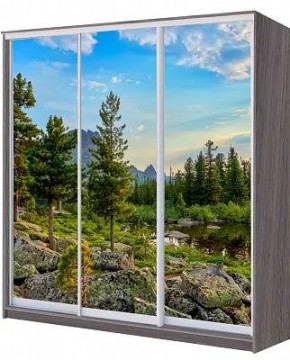 Шкаф-купе ХИТ 22-20/2-777 ПРИРОДА в Качканаре - kachkanar.mebel24.online | фото